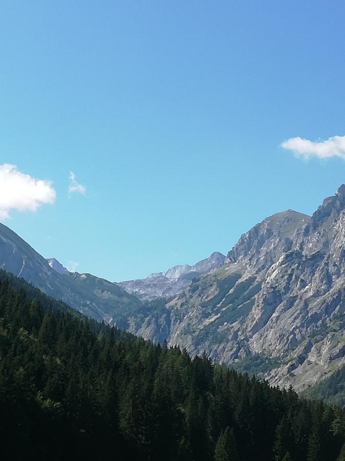 Fruehstueckspension Seeberghof Seewiesen Екстер'єр фото