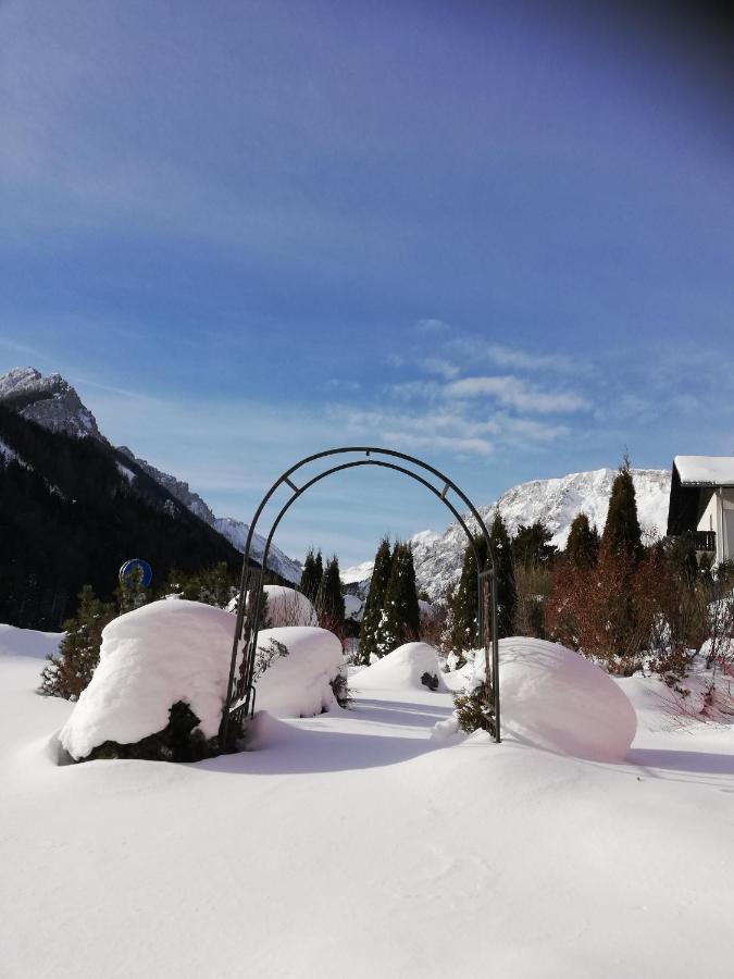 Fruehstueckspension Seeberghof Seewiesen Екстер'єр фото